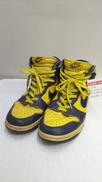 DUNK HIGH MICHIGAN|NIKE