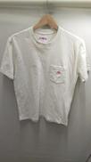 S/S ロゴ入りシャツ|DANTON
