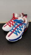 LEBRON 17 LOW ホワイト|NIKE