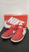SB DUNK PRO IW  ※使用感|NIKE