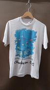 SHARK ENCOUNTER S/S TEE|HANES