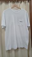 Tシャツ|PATAGONIA