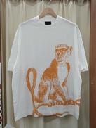 Tシャツ|EMPORIO ARMANI