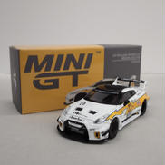 NISSAN 35GT-RR VER.1|TSM MODEL