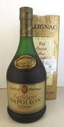 サリニャック ナポレオン|Salignac