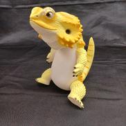 フトアゴン|SOTA