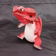 フトアゴン|SOTA