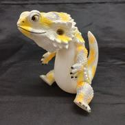 フトアゴン|SOTA