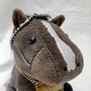 イクノイックス|ノーザンファーム