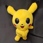 POKEMONTIME|NINTENDO