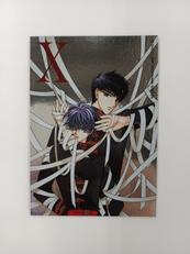 CLAMP X スペシャルシルバーカード NO.5|KADOKAWA