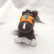 ホッコータルマエ|ノーザンファーム