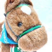 タイキシャトル号|AVANTI