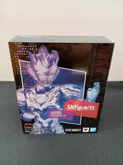 S.H.FIGUARTS|バンダイ