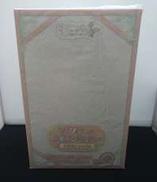 ソフィー・ノイエンミュラー お着替えMODE|キューズQ