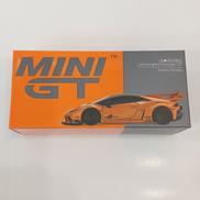 MINIGT|TSMMODEL