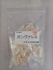 ガンヴァレル|入る&出る