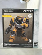 LEGION CATSPHRACTII TERMINATOR|JOYTOY