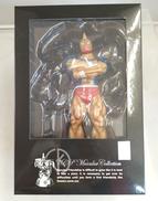 キン肉マン スグル 戦闘服VER.(原作カラー)