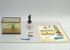 さわやか4組 ⑧飼育係|リーメント