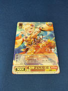 ヴァイスシュヴァルツ|ブシロード