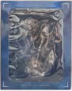 五条悟 SHIBUYA SCRAMBLE FIGURE|アルファサテライト