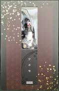 ワカモ　1/7PVC&ABS製塗装済み完成品|ネオンマックス