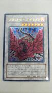 ブラック・ローズ・ドラゴン|遊戯王