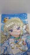 シノビマスター 閃乱カグラ 華風流|カーテン魂