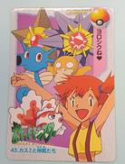 43 カスミと仲間たち|バンダイ