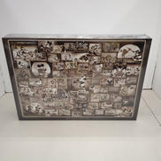 ミッキーマウス モノクロ映画コレクション|DISNEY