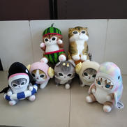 サメにゃん BIGぬいぐるみ7点セット|フクヤ