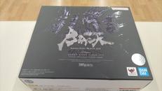 S.H.FIGUARTS　仮面ライダーBLACK SUN|BANDAI