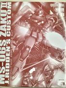 機動戦士ガンダムMSV-R|BANDAI