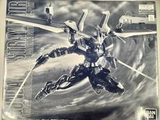 機動戦士ガンダムSEED DESTINY ASTRAYB|BANDAI