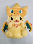 ポケットモンスター|株式会社ポケモン