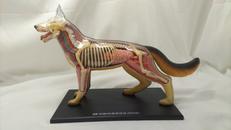 4D VISION DOG|不明