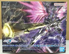 HG デスティニーガンダム SpecⅡ＆ゼウスシルエット