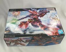 HG 1/144