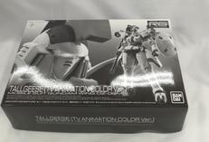 RG 1/144
