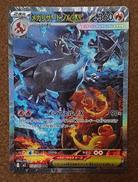 【SAR】メガリザードンXex|株式会社ポケモン