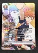 日向翔陽 パラレル|BANDAI