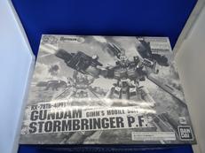 MG　ガンダムストームブリンガー　PF