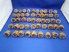 センタイリング 49種類セット　ゴジュウジャー|バンダイ