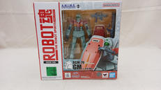 GM VER.ANIME