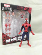 MAXIMUMSERIES|ハスブロ