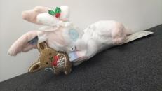 ポケットモンスター|ポケモン