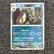 ミラー）ブラッキー（マスターボール）|ポケモン