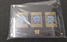 青眼の白龍3枚セット+特製カードディスプレイケース|KONAMI