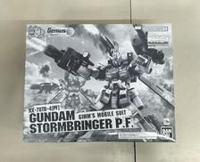 MG ガンダムストームブリンガー P.F.